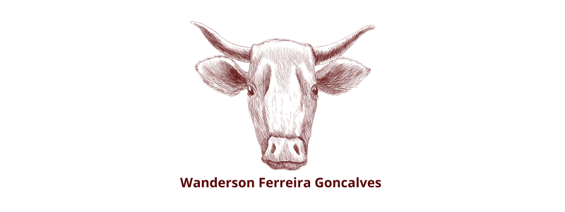 Wanderson Ferreira Goncalves